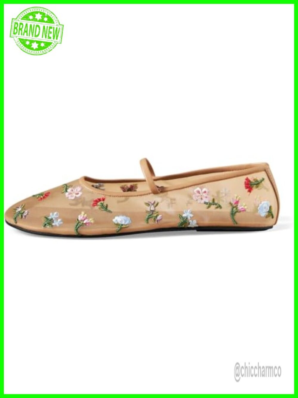 Women's Floral Embroidered Mesh Ballet Flats with Strap
